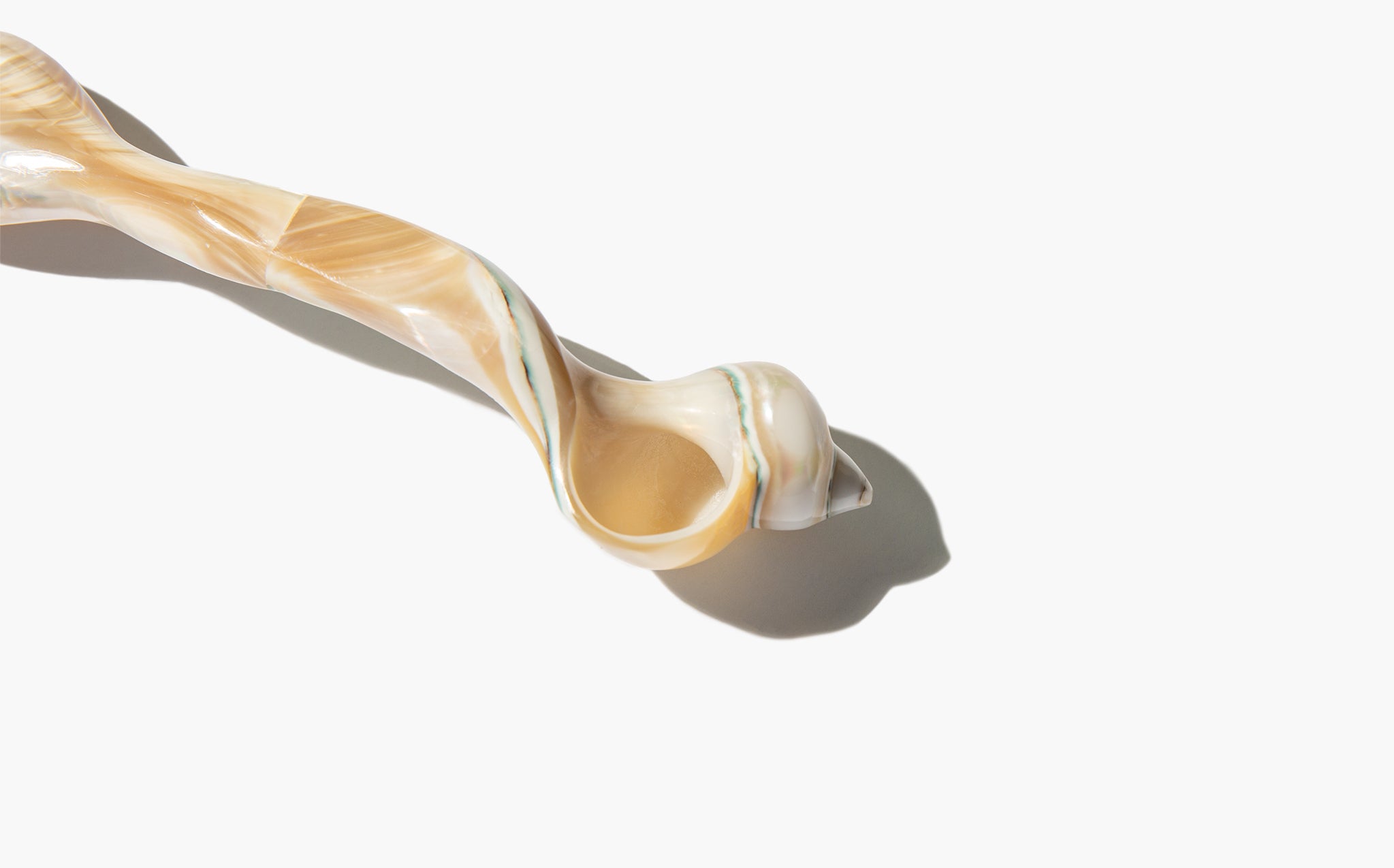 Carved Shell Decorative Spoon