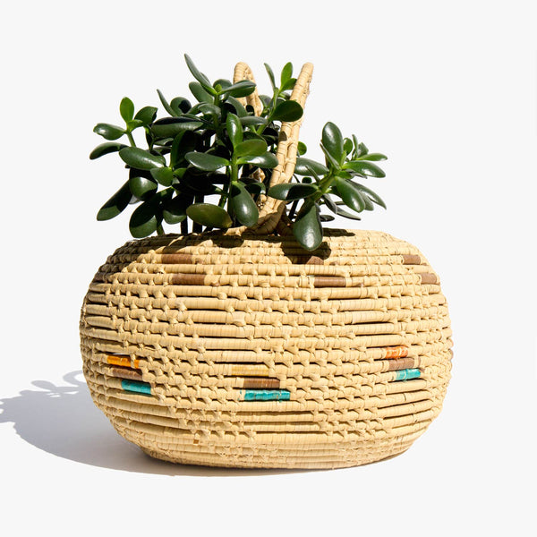 Woven Planter Basket